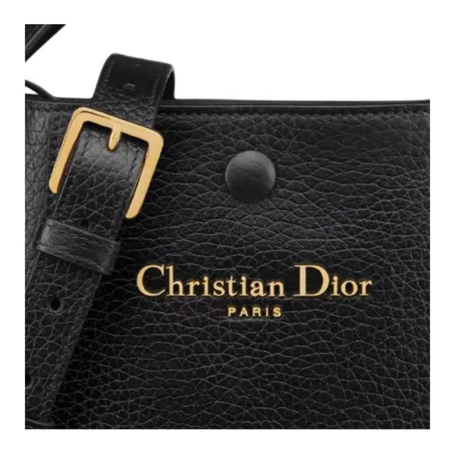 DIOR Signature