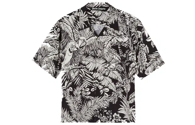 PALM ANGELS