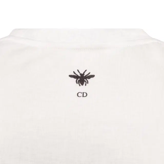 DIOR FW23 Tears T