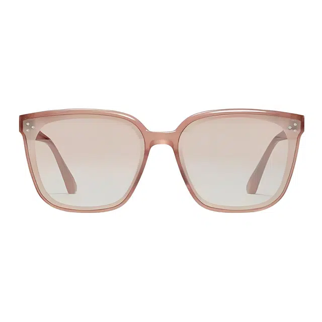 GENTLE MONSTER palette-PC7