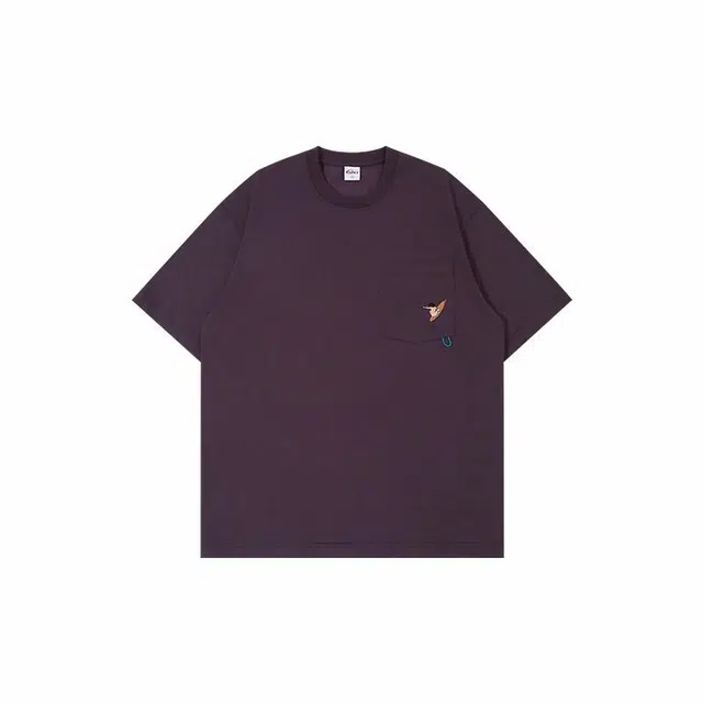 NBCT T