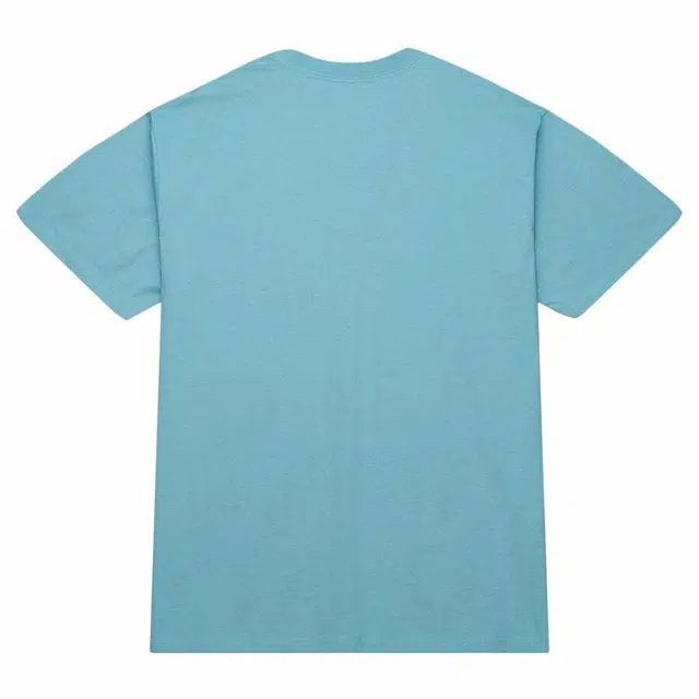 Mitchell Ness T