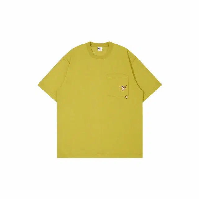 NBCT T