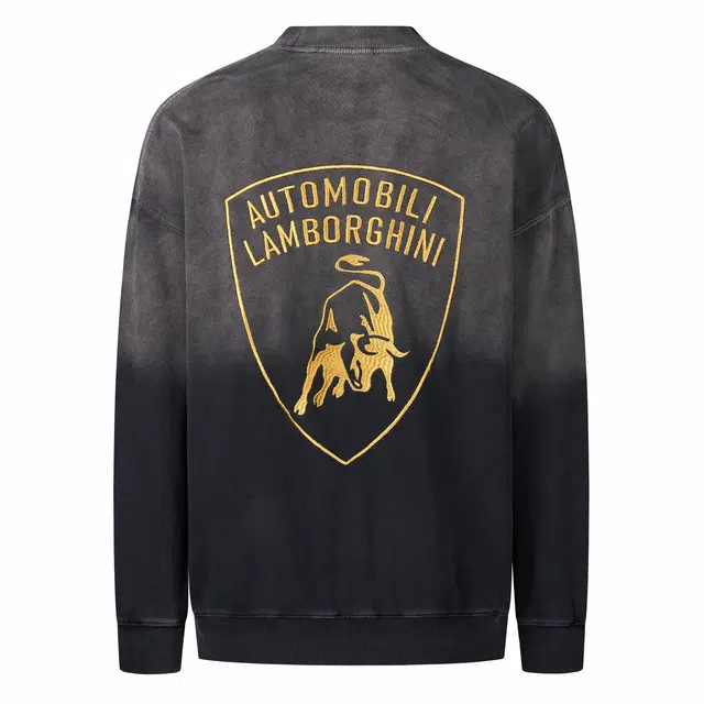 Automobili Lamborghini