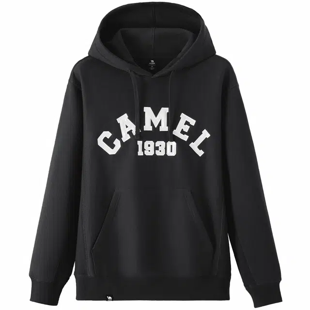 CAMEL logo