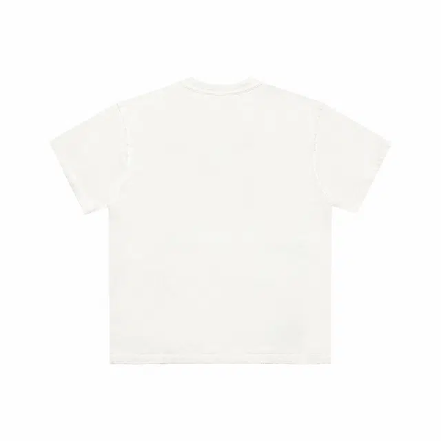 False Perception T