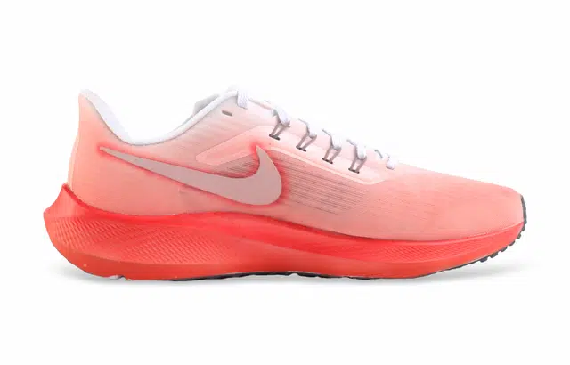 Nike Air Zoom Pegasus 39