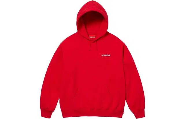Supreme SS24 WEEK8 IMMORTAL HOODED SWEATSHIRT