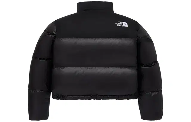 THE NORTH FACE W's Novelty Nuptse Down Jacket