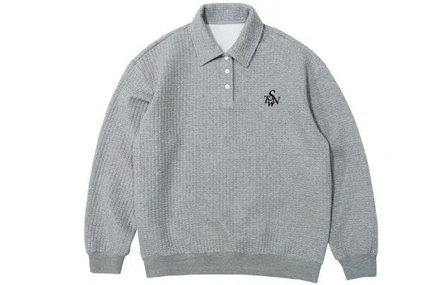 STNW LogoPolo