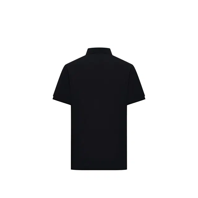 LogoPolo