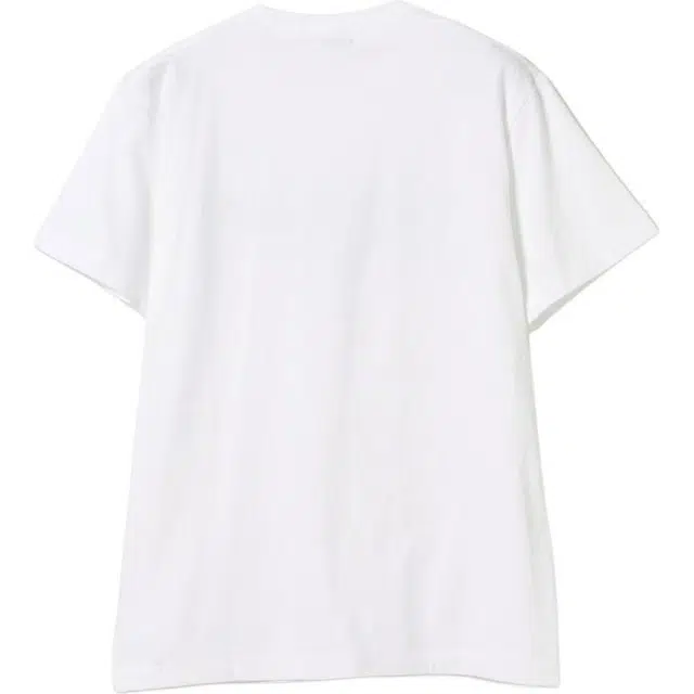 beams T
