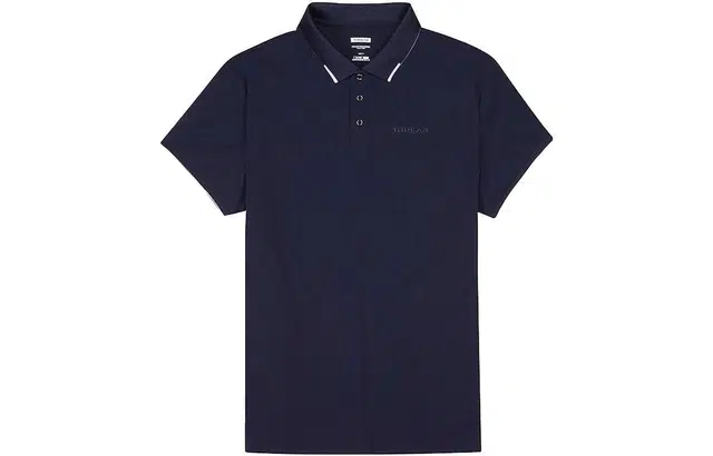 LogoPolo