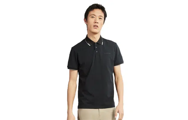 LogoPolo