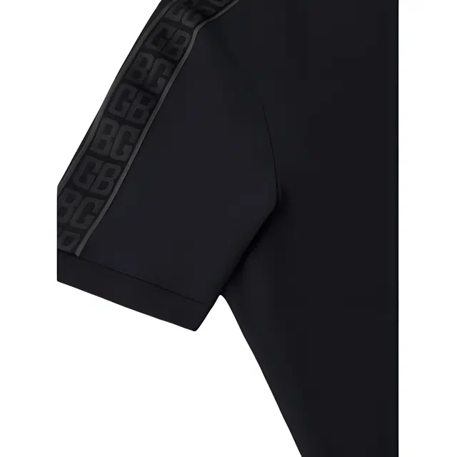 LogoPolo