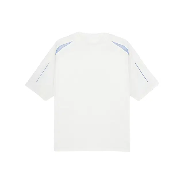 PAINT STAIN T