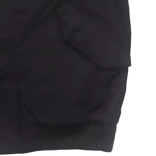 THE NORTH FACE GOTHAM JKT Logo