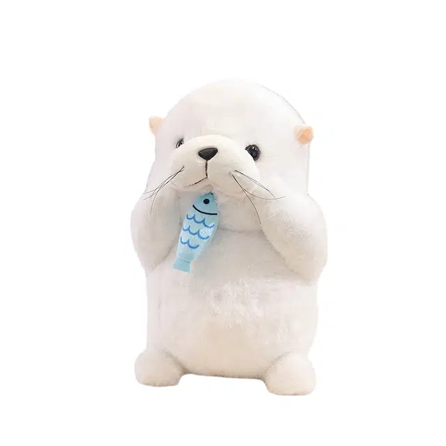 30cm