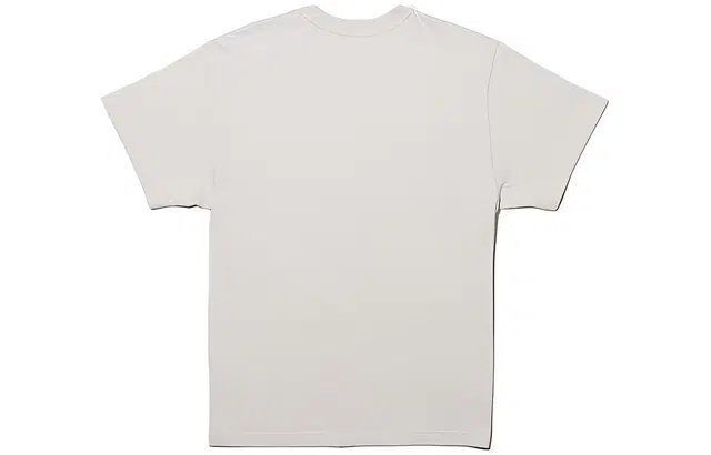 THE NORTH FACE x KAWS T