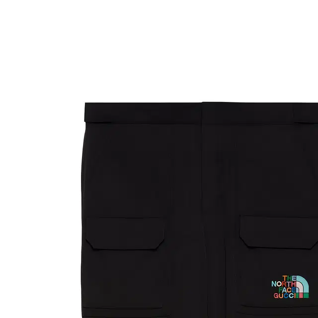 GUCCI xThe North Face FW22