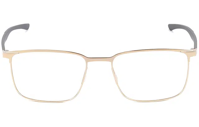 PORSCHE DESIGN