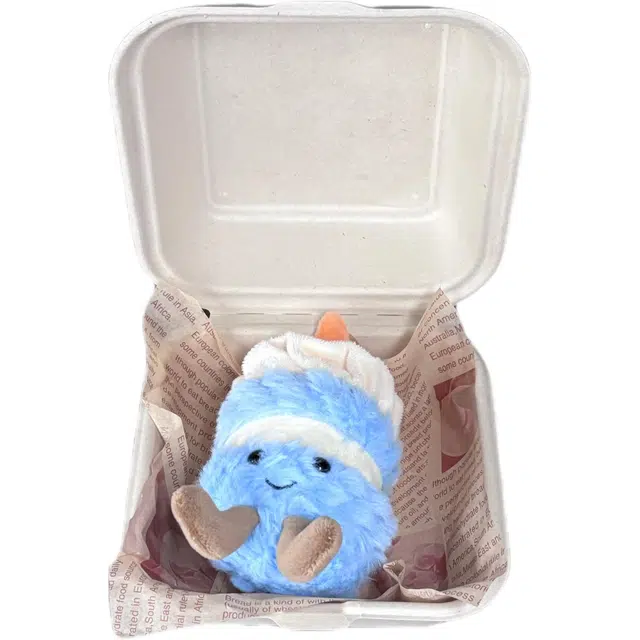 13cm25cm