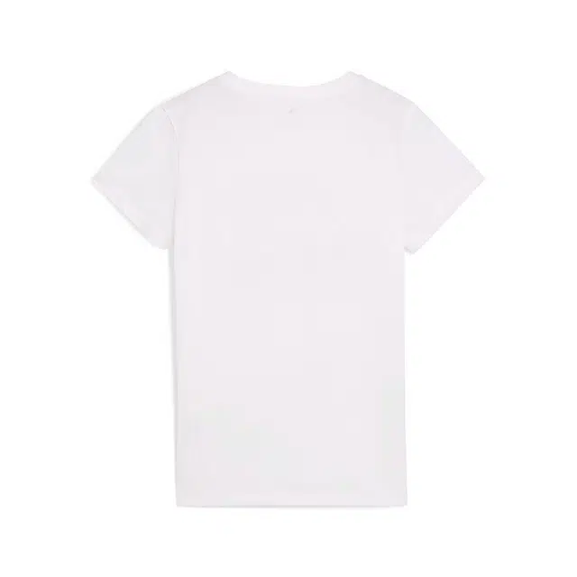 PUMA GRAPHICS Mountain Tee SS25 T