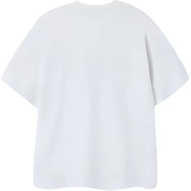 PAINT STAIN T