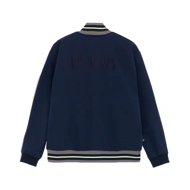 PUMA PC