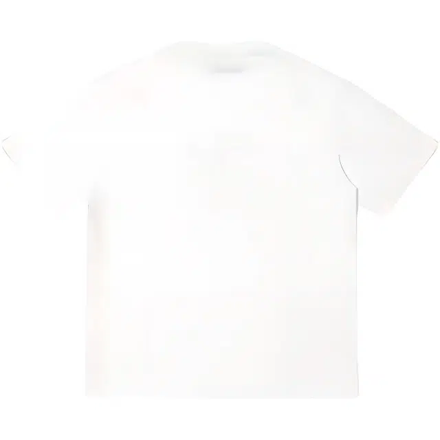 PAINT STAIN T