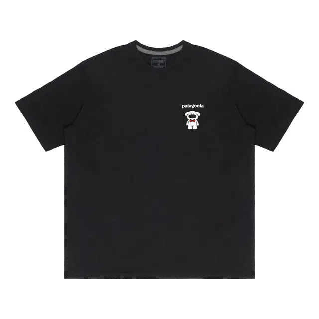 patagonia Extraordinary T