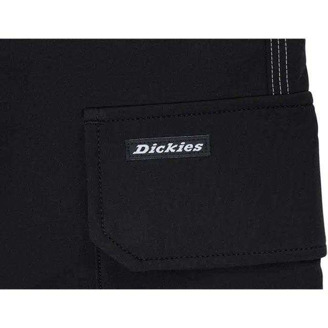 Dickies DK0A87FQBLK
