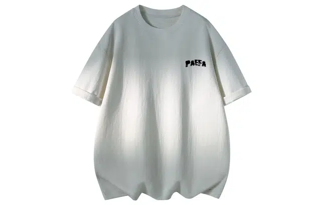 PAEFA T