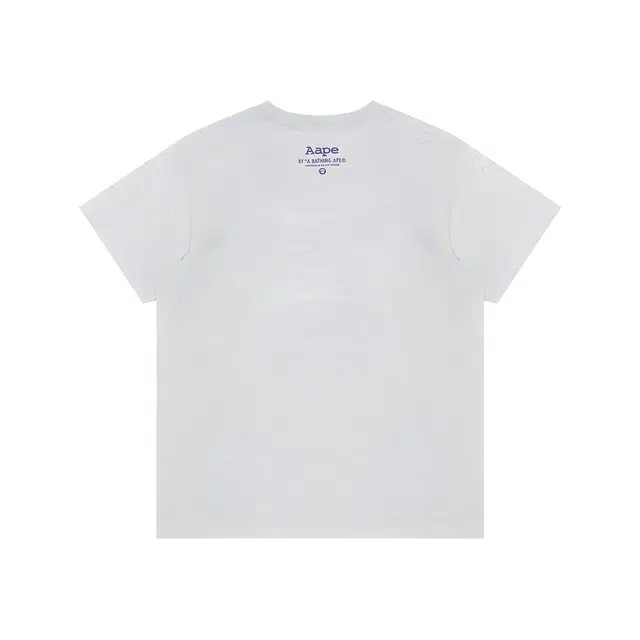 Aape T