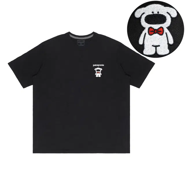 patagonia Extraordinary T