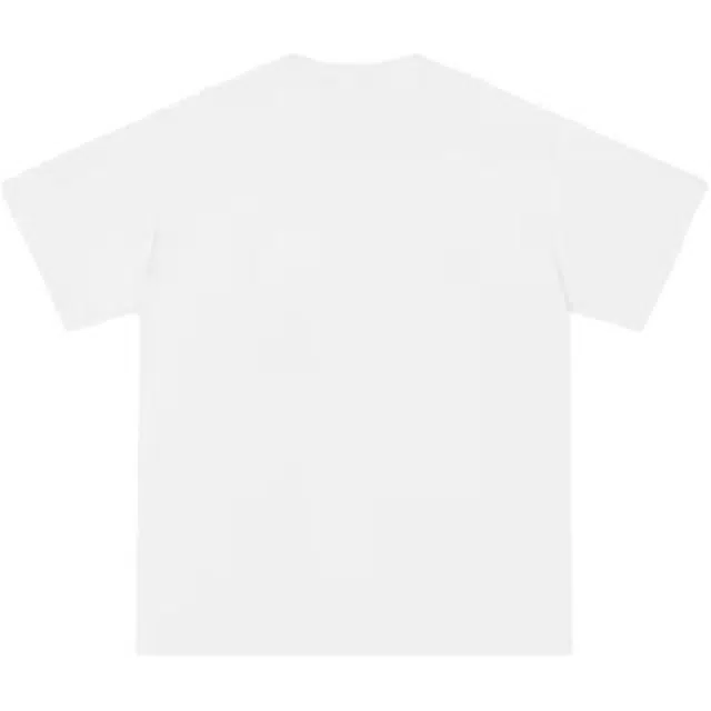PAINT STAIN T