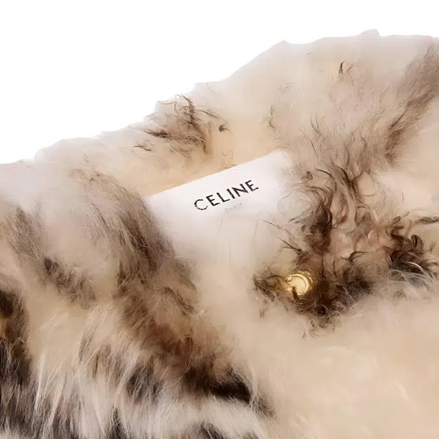 CELINE FW24