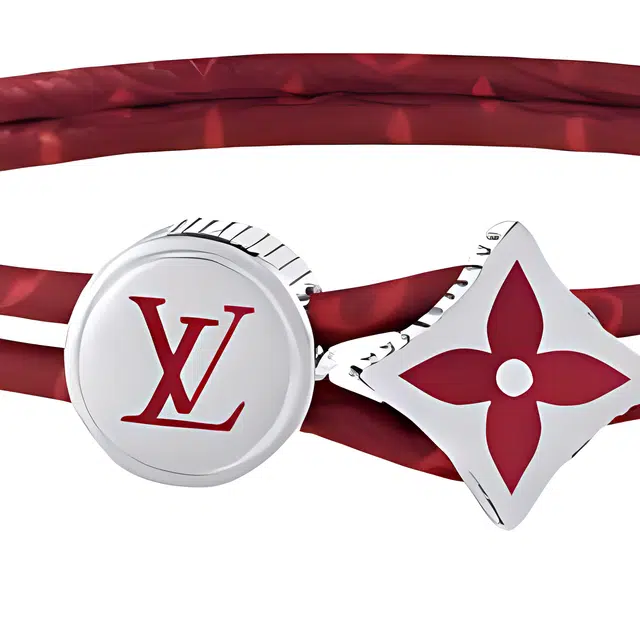 LOUIS VUITTON Catch It