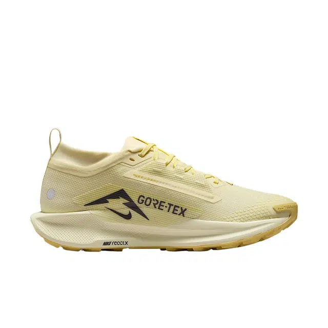 Nike Pegasus Trail 5 GORE-TEX