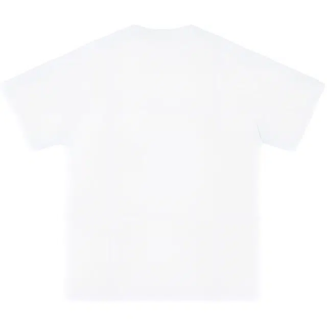 PAINT STAIN T