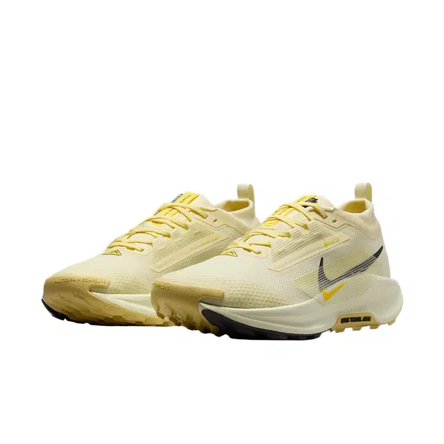 Nike Pegasus Trail 5 GORE-TEX