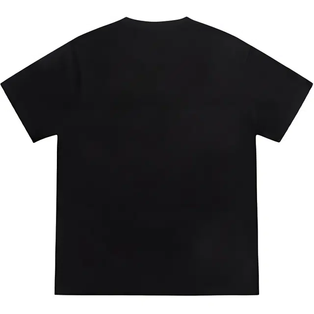 WELTER EXPERIMENT T