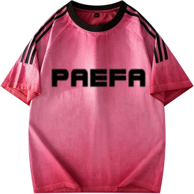 PAEFA logoT