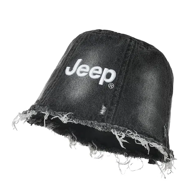 Jeep ins