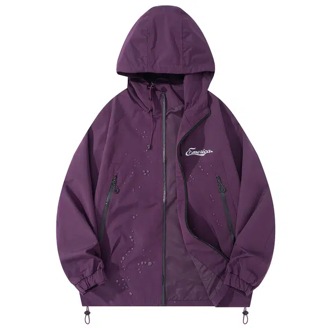 EMERICA logo