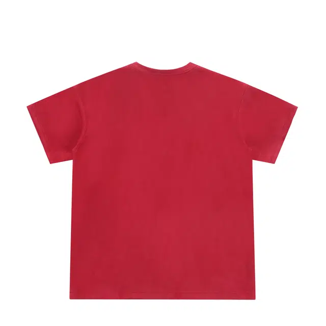 PAINT STAIN T