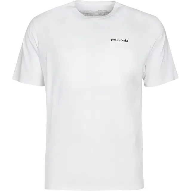 patagonia T