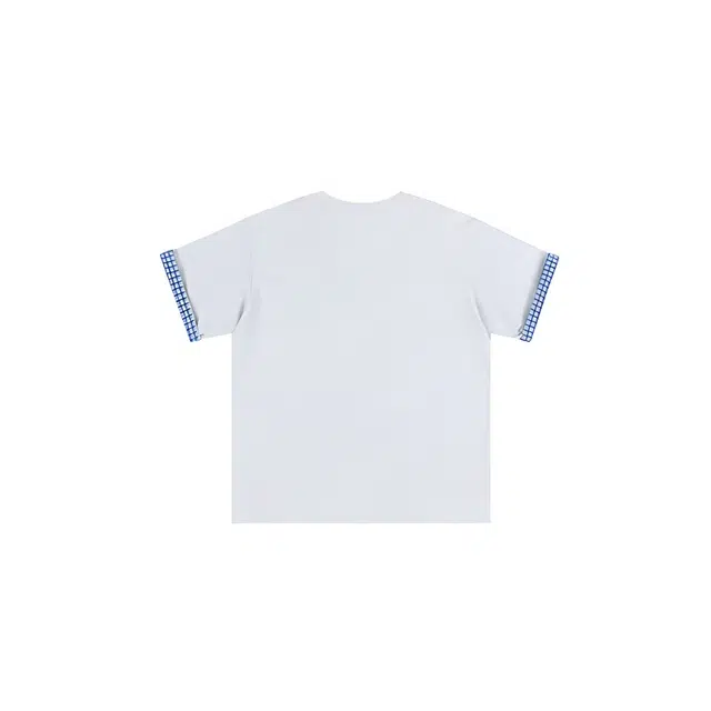 LSVE NASA T