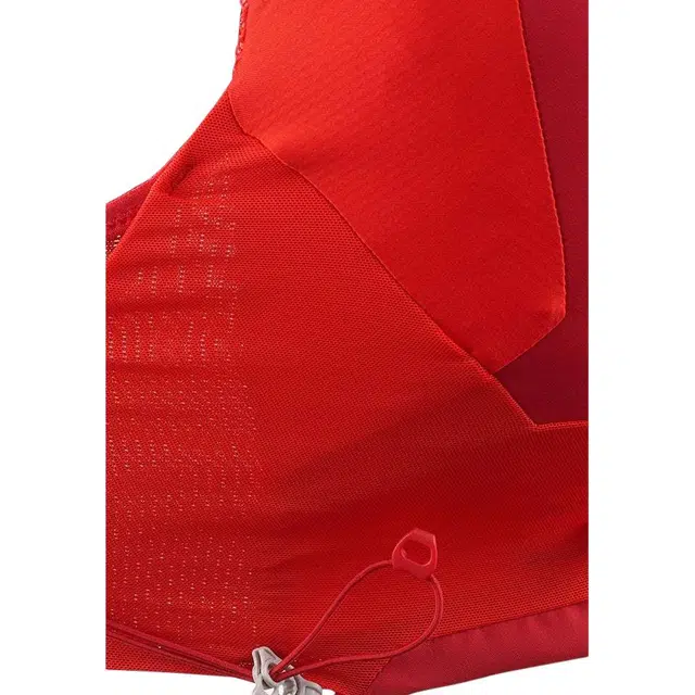 SALOMON ADV SKIN 5L
