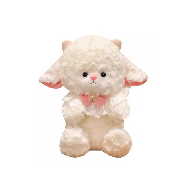 Teacher Lin 22cm25cm